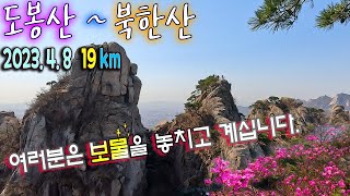 2023. 4. 8 도봉산 북한산은 진달래도 최고 장관, 보물을 그냥 버리지 마시기를...(다락능선 ~ 포대능선 ~ Y계곡 ~ 신선대 ~ 진달래능선 ~ 칼바위능선)