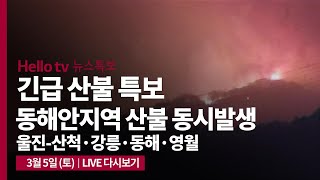 [3월 5일 오후 8시 40분 뉴스특보] 전국 산불 동시발생 (울진-삼척 \u0026 강릉 \u0026 동해 \u0026 영월)