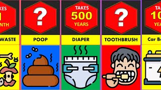 How Long Does it take Things to Decompose? | Comparison