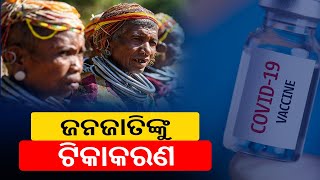 18-44 ନିୟାଙ୍ଗିରି ଅଞ୍ଚଳରେ ଥିବା ପୁରୁଣା ଆଦିବାସୀ ଏବଂ ମାଲକାନଗିରି ଡିଷ୍ଟ ଟୀକାକରଣ କରନ୍ତୁ || କାଲିଙ୍ଗା ଟିଭି |