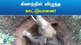 wild elephant | well | கிணற்றில் விழுந்த காட்டுயானை மீட்பு!