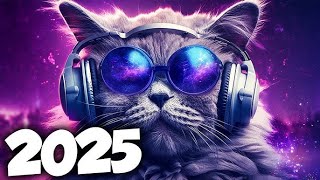 MÚSICA ELETRÔNICA 2025 🔥 ELETRÔNICAS 2024 MAIS TOCADAS 🔥 Alok, Vintage Culture \u0026 David Guetta