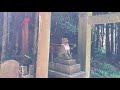 a secret spot in kyoto you never knew existed 京都の穴場 神秘的すぎる廃神社