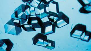 Biological technology | Wikipedia audio article