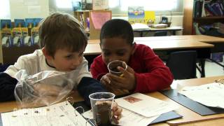 First Grade Science: STC™ - Planting Our Seeds