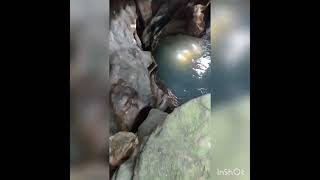 Underground Natural Swimming Pool | Meghalaya | Nongnah |