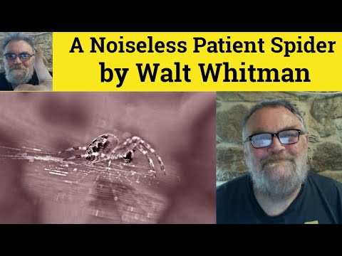 What does the spider symbolize in the poem A noiseless patient?