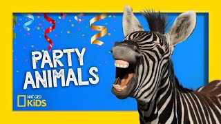 Party Animals REMIX! | Party Animals