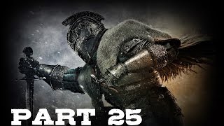 Dark Souls 2 Walkthrough | Company of Champions | Part 25