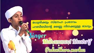 മധുരിക്കും സ്നേഹ പ്രഭാവം Muhammed Mushrif Gudalur