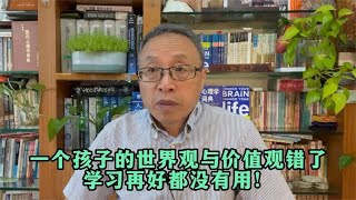 一个孩子的世界观与价值观错了，学习再好都没有用！【与众不同的心理学】