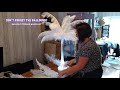 ostrich feather centrepiece balloon décor tutorials