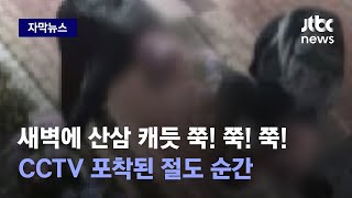 [자막뉴스] 눈이 간다 손이 간다 에라 모르겠다 '스윽'…\