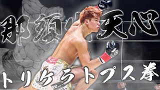 那須川天心『トリケラトプス拳』集