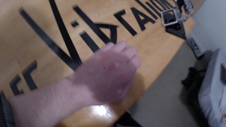 1 Fang Bite from P. ornata + Update from Hospital. (WARNING) Suffering Tarantula Shown.