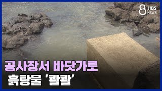 공사장서 바닷가로 흙탕물 '콸콸'/ JIBS / 제주 / 2023.08.08