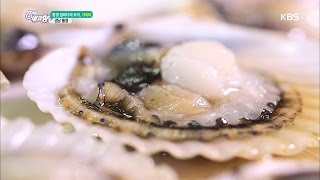 6시 내고향 - 통영 앞바다의 보석! 가리비 - 경남 통영.20161212