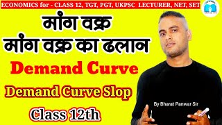 मांग वक्र | मांग वक्र का ढलान | Demand Curve | Demand Curve slop |  MICRO Economics for Class 12