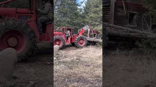 Old 230 Timberjack skidder logging #timberjack #youtubeshorts