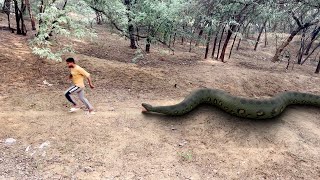 Biggest Anaconda Snake Attack  In Real Life  HD Video| Big Anaconda| Vikku Films
