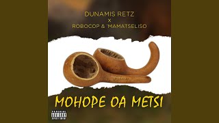 Mohope oa Metsi