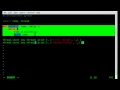 Basic Threading with Python - Linux