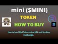 How to Buy mini (MINI) Token Using Raydium Exchange