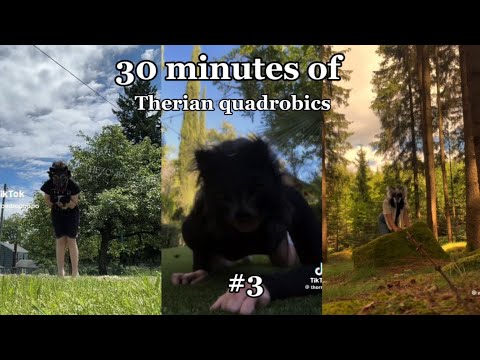 Therian Quadrobics Compilation 3 Youtube
