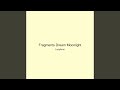 Fragments Dream Moonlight