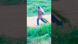 ଏ ସହରେ ଥିଲା ଜଣେ ଯାଯାବର #ytshorts #real action #Real Rabi #viral #viral #subscribe