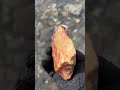 超個性的なジャスパー　very unique jasper shorts stone jasper ジャスパー asmr