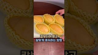 캄보디아 망고 알맞게 후숙하는 방법