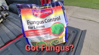 Does your lawn have fungus? Bioadvanced fungus control! Lawn fungus treatment.