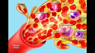 Blood Component रक्त घटक