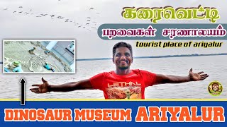 karaivetti paravaigal saranalayam | அரியலூர் | கரைவெட்டி பறவைகள் சரணாலயம் | Dinosaur museum |