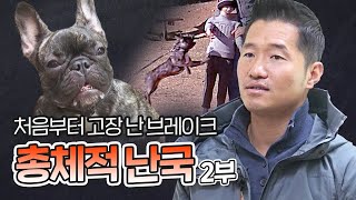 총체적 난국, 프렌치 불독 레오 2부｜내 강아지의 공격성 The aggression of my dog