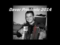 davor prvulovic “inspiracija