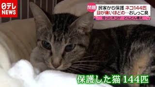 猫１４４匹民家から保護「おしっこ臭が…」（2020年10月9日放送「news every.」より）