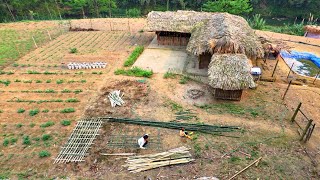 Single mother builds a trellis for her cucumber garden: The life of Ly Tieu Ca