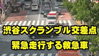 渋谷スクランブル交差点で一旦停止！歩行者信号が変わってから緊急走行する救急車