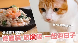 養隻貓，做燉飯！今天來做燉飯！【貓副食食譜】好味貓鮮食廚房EP161