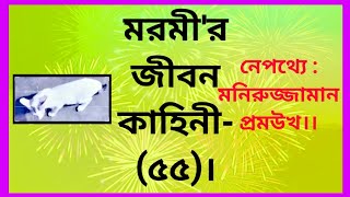 মরমী'র জীবন কাহিনী-(৫৫)। নেপথ্যে : মনিরুজ্জামান প্রমউখ।#entertainment #entertainer #বিড়াল #cat ১১/৮