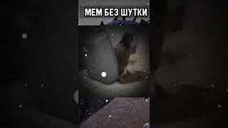 ОЧЕНЬ РЕДКИЙ ПЕСЧАНЫЙ КОТ 🐱 #shorts #memes #fun #приколы #cats #ambient