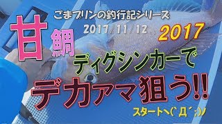 【相模湾アマダイ】ディグシンカーとハイブリッド天秤でデカアマを狙う!!(17/11/02)