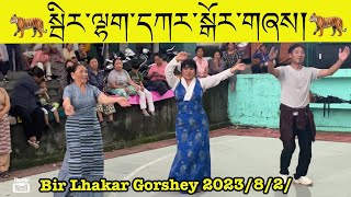 Bir||chauntara||lhakar gorshey||#gorshey #tibetanvlogger #bir #tibet #tibetanyoutuber #kullu