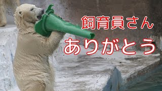 飼育員さんありがとう💗ホウちゃんにもタンクをくれた【天王寺動物園】