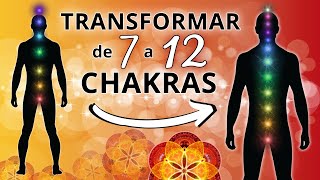 Los 12 Chakras