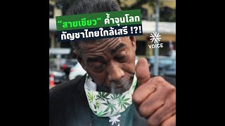 “สายเขียว” ค้ำจุนโลก กัญชาไทยใกล้เสรี !?!