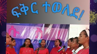 ፍቅር ተወለደ አስደናቂ አምልኮ በኤልኦላም የአምልኮ ሕብረት!