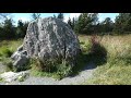 the famous robert the bruce stone at moss raploch battle site clatteringshaws galloway scotland